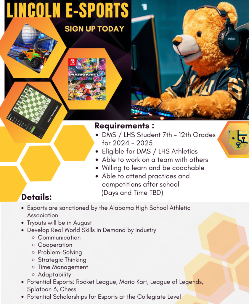 Lincoln 24-25 Esports